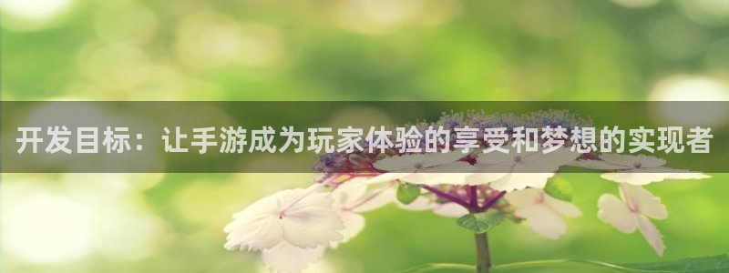 V8娱乐网：开发目标：让手游成为玩家体验的享受和梦想的实现者