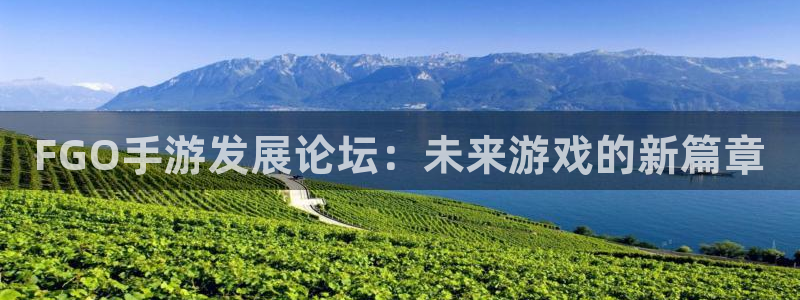 V8娱乐官网：FGO手游发展论坛：未来游戏的新篇章