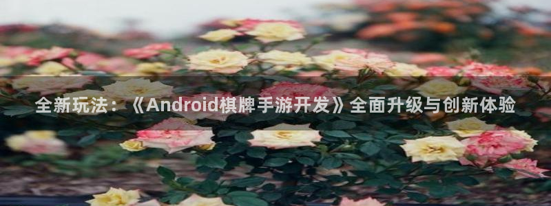 V8娱乐注册：全新玩法：《Android棋牌手游开发》全面升