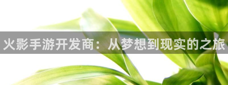 V8娱乐官网：火影手游开发商：从梦想到现实的之旅