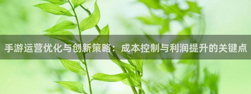 V8娱乐登录：手游运营优化与创新策略：成本控制与利润提升的关