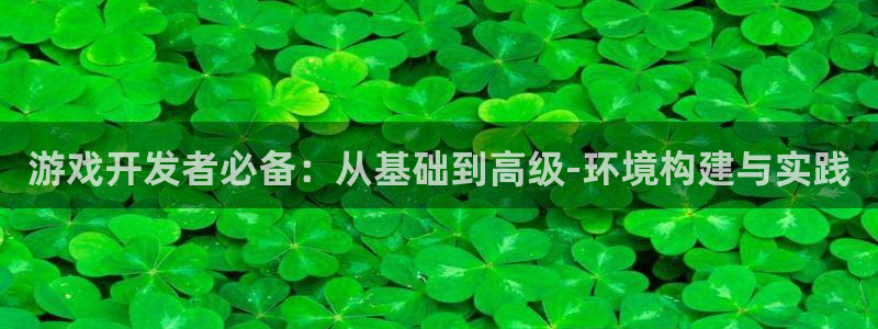 V8娱乐登录：游戏开发者必备：从基础到高级-环境构建与实践