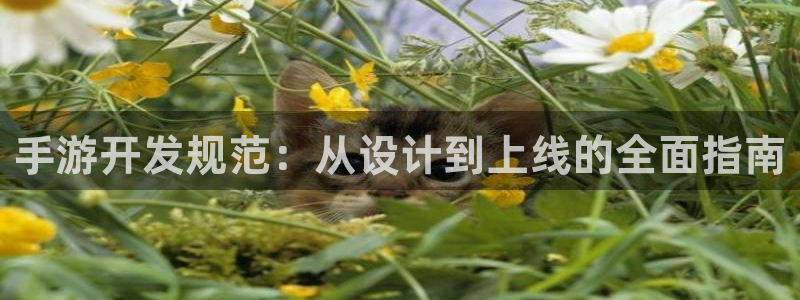 V8娱乐登录：手游开发规范：从设计到上线的全面指南