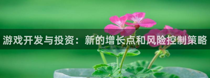 V8娱乐平台：游戏开发与投资：新的增长点和风险控制策略