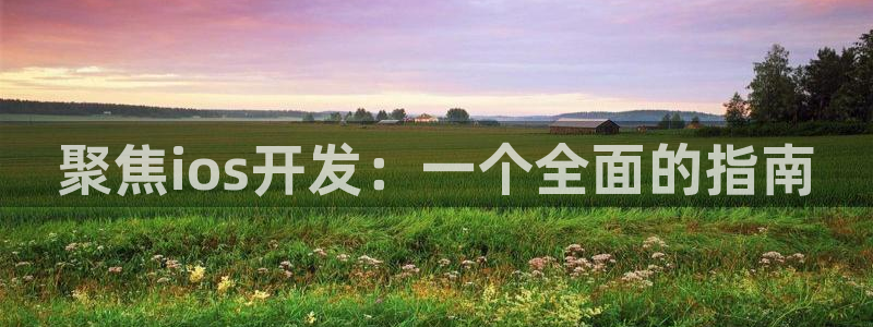 V8娱乐平台：聚焦ios开发：一个全面的指南