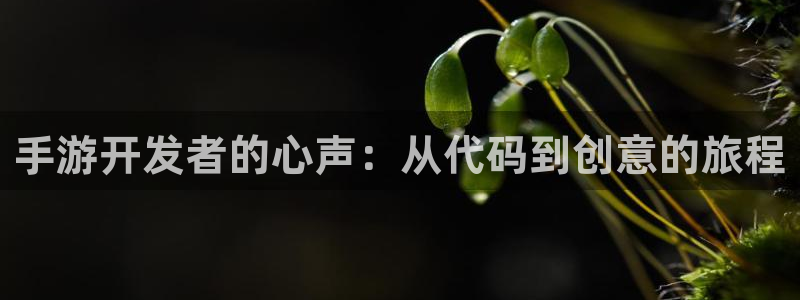 V8娱乐网：手游开发者的心声：从代码到创意的旅程