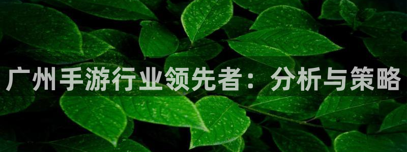 V8娱乐登录：广州手游行业领先者：分析与策略