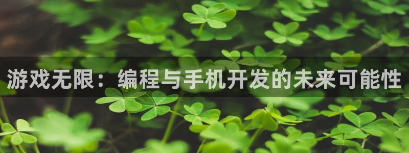V8娱乐网：游戏无限：编程与手机开发的未来可能性