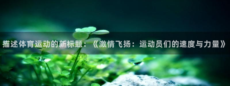 动感熊猫体育公园