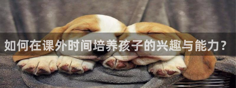 熊猫体育网址