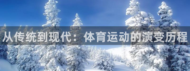 熊猫体育app官网入口