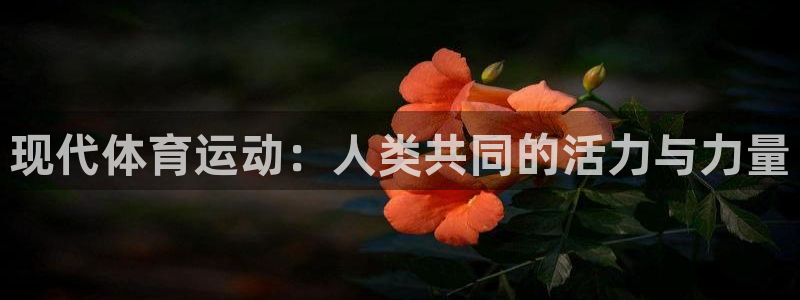 熊猫体育v3.新网页.org