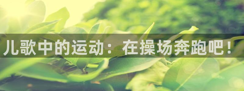 熊猫体育app下载安装